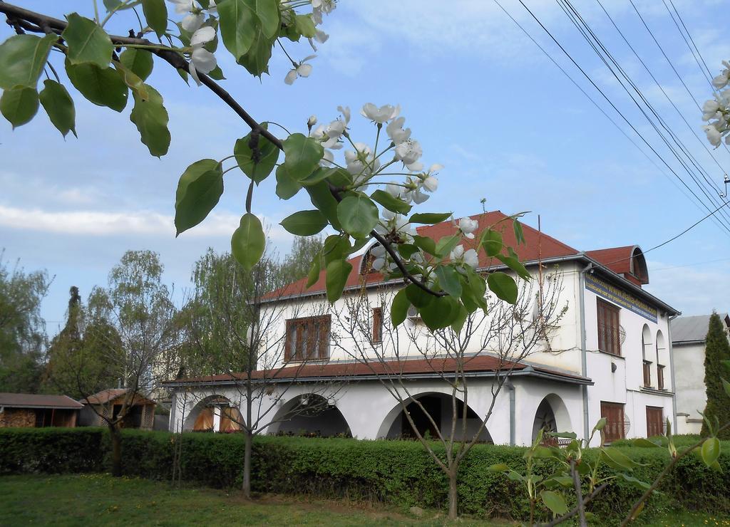 Guest House Marketti Vynohradiv Exterior foto
